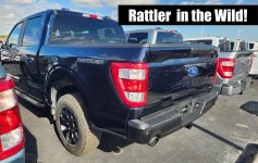 2023-ford-f150-rattler-off-road.jpeg